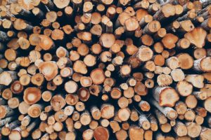 wniosek osłonowny drewno - najwazniejsze informacje